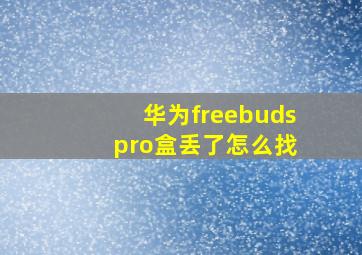 华为freebuds pro盒丢了怎么找